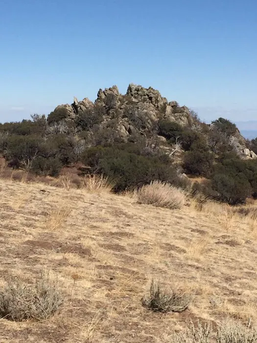 China Flats Picture 2