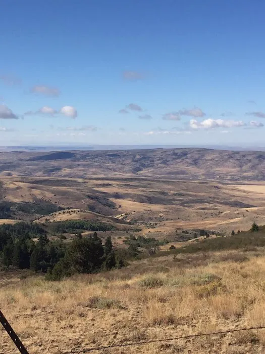 China Flats Picture 8