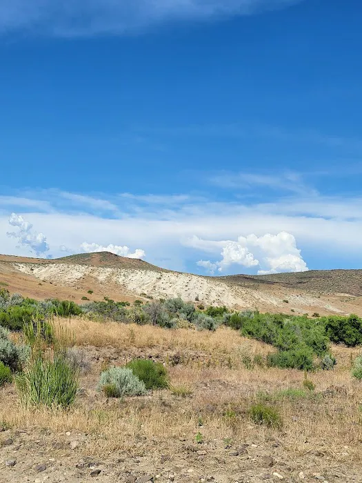 Succor Creek Campground Picture 11