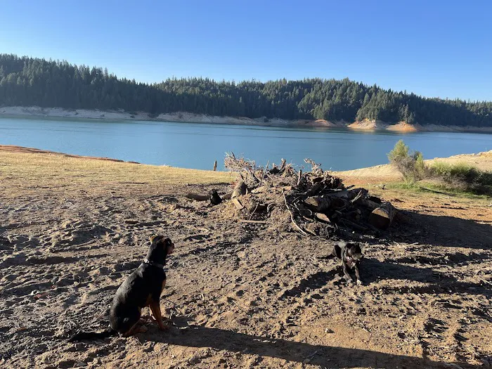 Garden Point Campground Picture 6