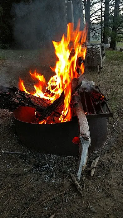 Garden Point Campground Picture 4