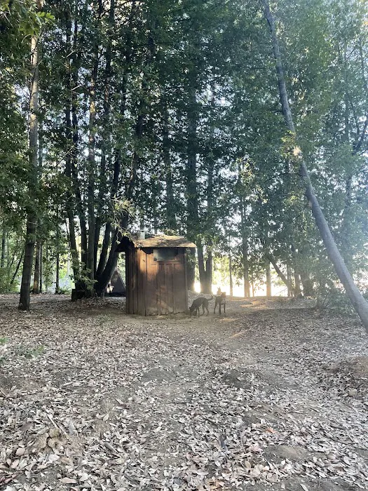 Garden Point Campground Picture 9