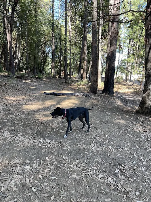 Garden Point Campground Picture 8