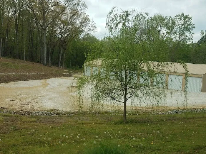 Graceland RV Park Picture 3