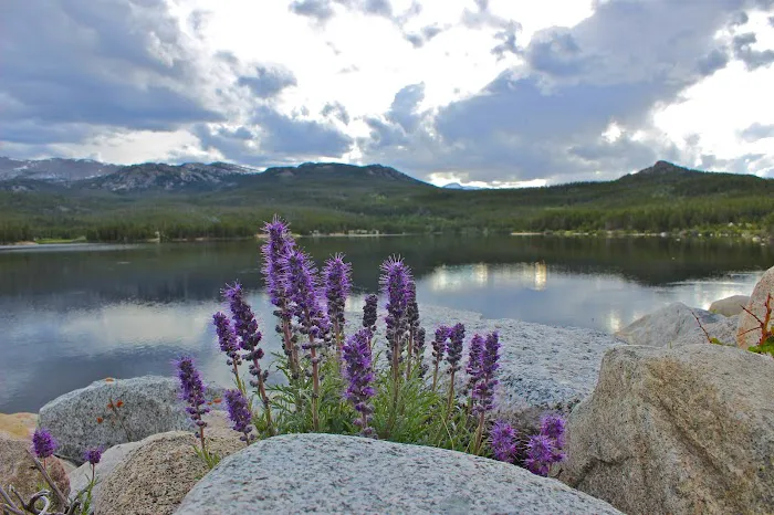 Worthen Meadow Reservoir Campground Picture 3