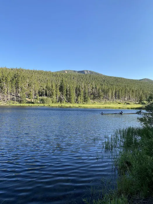 Worthen Meadow Reservoir Campground Picture 1