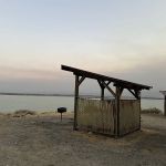 Ocean Lake WHMA - Long Point Campground