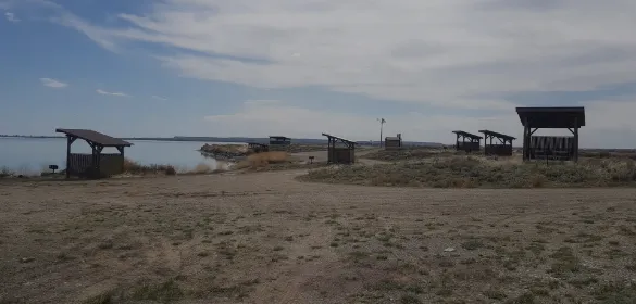 Ocean Lake WHMA - Long Point Campground Picture 6