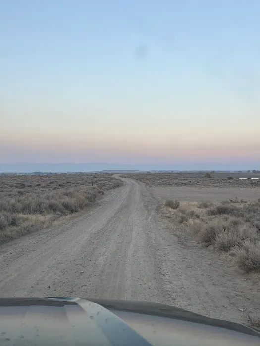 Ocean Lake WHMA - Long Point Campground Picture 7