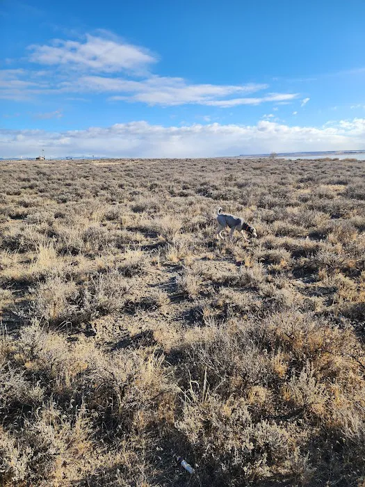 Ocean Lake WHMA - Long Point Campground Picture 5