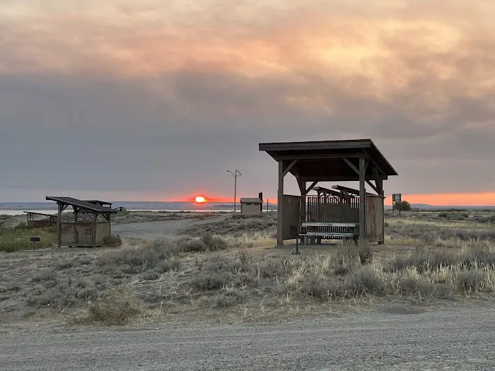 Ocean Lake WHMA - Long Point Campground Picture 4