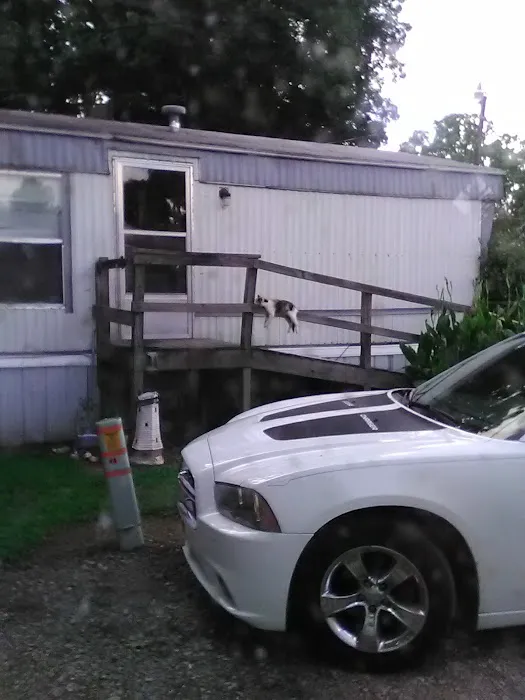 Shady Hill Trailer Park Picture 3