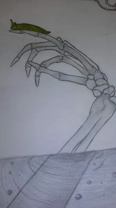 Shady Hill Trailer Park Picture 6