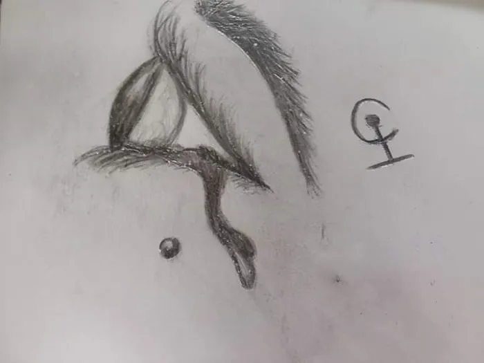 Shady Hill Trailer Park Picture 4