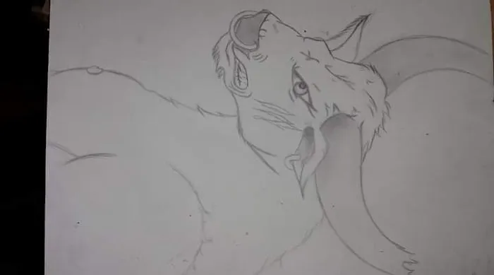 Shady Hill Trailer Park Picture 8