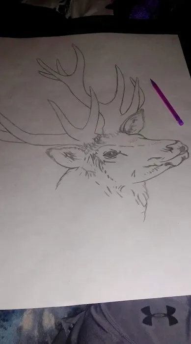 Shady Hill Trailer Park Picture 7