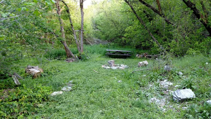 Shady Acres - private campground Picture 9