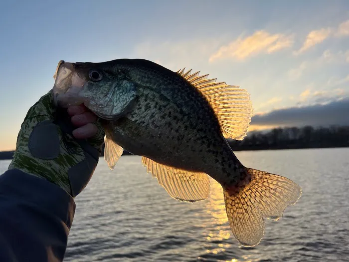 WildView Stays Picture 6