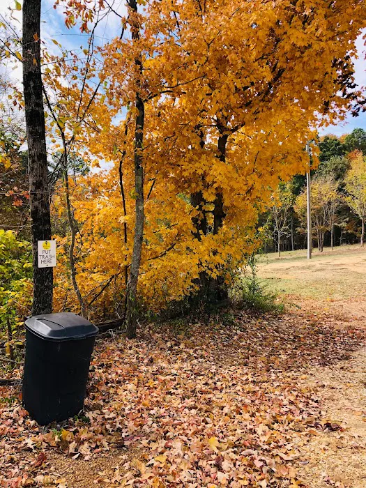 WildView Stays Picture 5