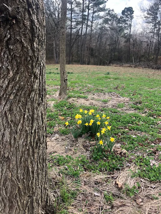 WildView Stays Picture 7