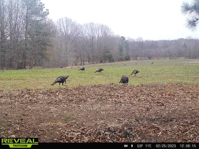 WildView Stays Picture 10