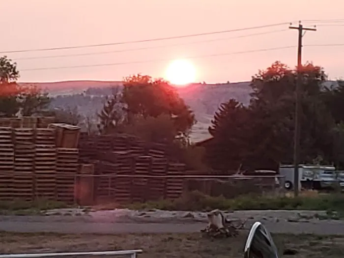 City Park Campground Picture 7