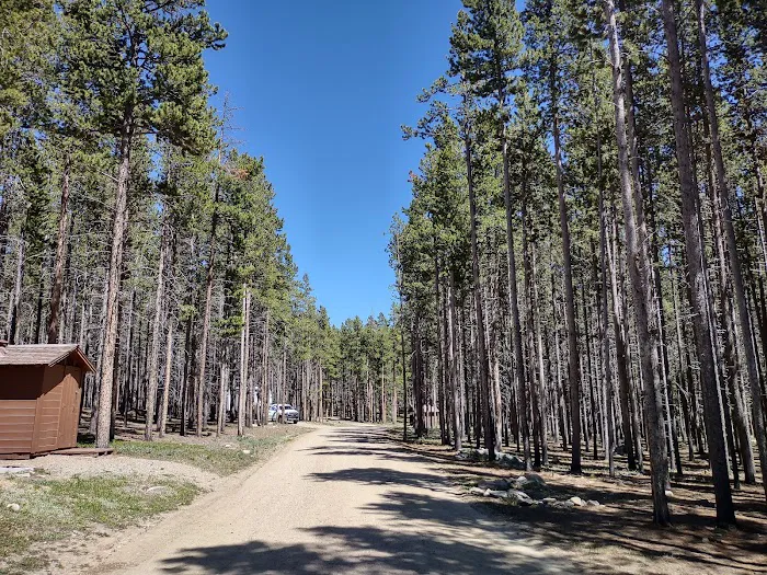 Tie Hack Campground Picture 5