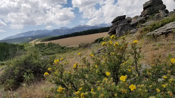 Tie Hack Campground Picture 8