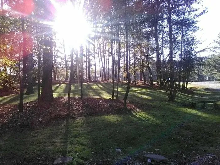 Rolling Hills Village Picture 3