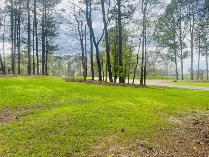 Rolling Hills Village Picture 9