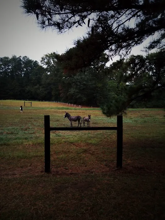 Rolling Hills Village Picture 8