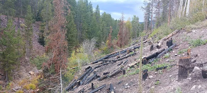 Duchesne Tunnel Campground Picture 6