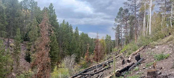 Duchesne Tunnel Campground Picture 10