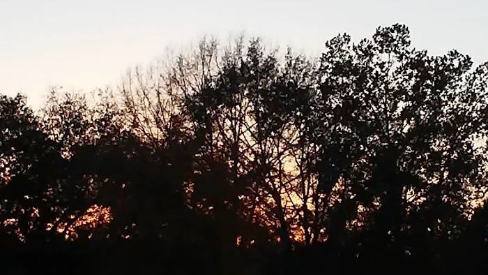 Cove Mobile Home Park Picture 8