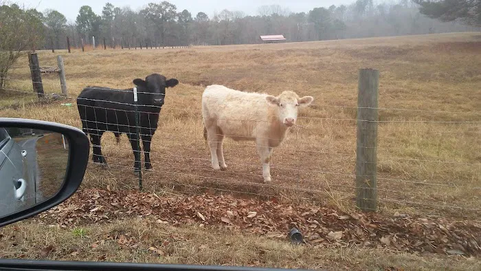 Cove Mobile Home Park Picture 4