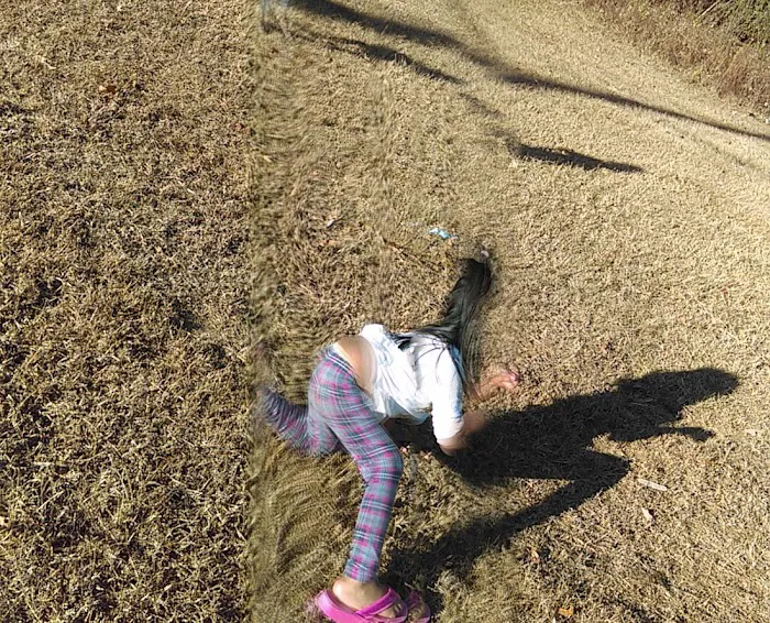 Forestdale Mobile Home Community Picture 1