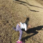 Forestdale Mobile Home Community