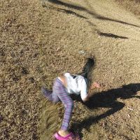 Forestdale Mobile Home Community ico