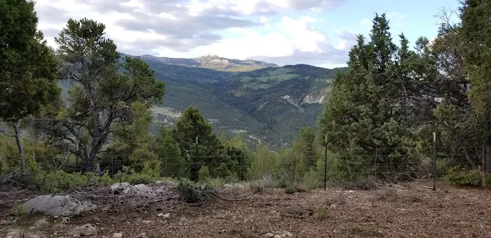 Twin Lake Campground Picture 6