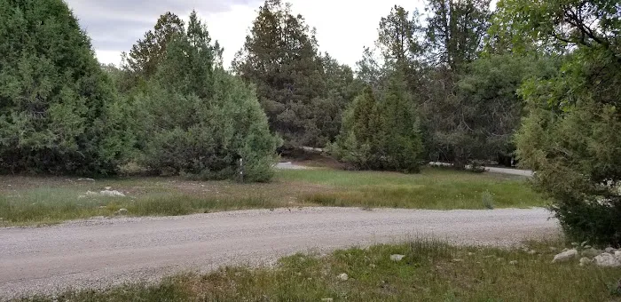 Twin Lake Campground Picture 5