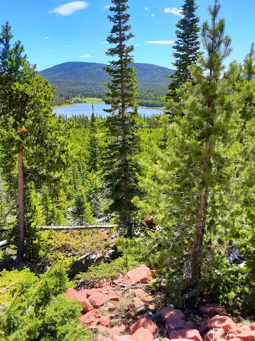 East Park Campground Picture 6