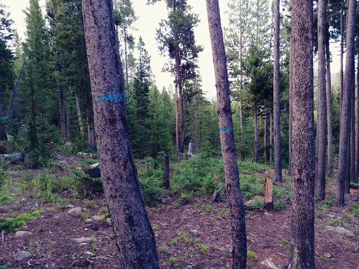 East Park Campground Picture 8