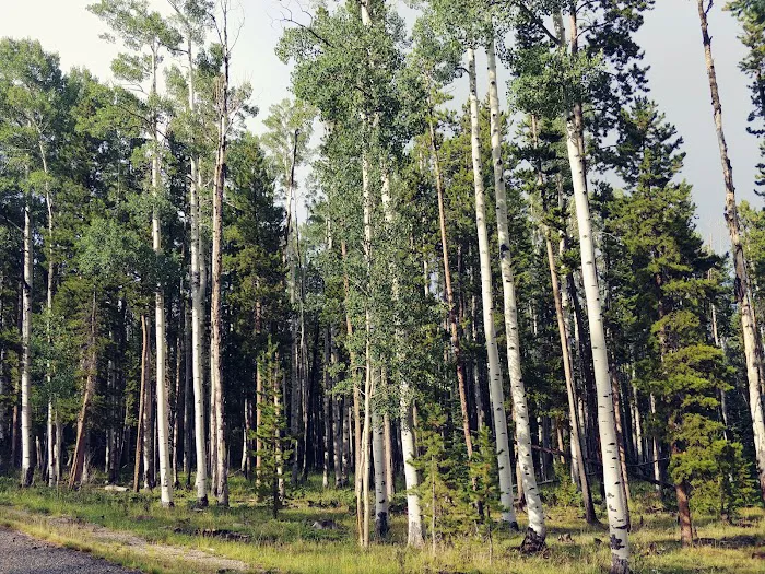 East Park Campground Picture 10