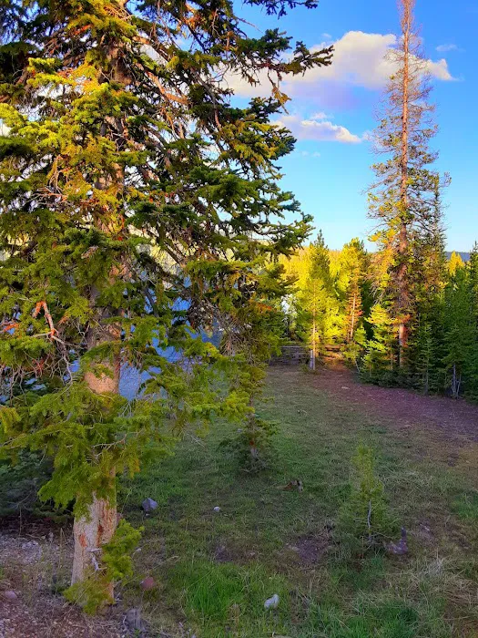 East Park Campground Picture 9