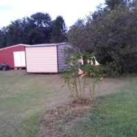 Daisy City Mobile Home Park ico