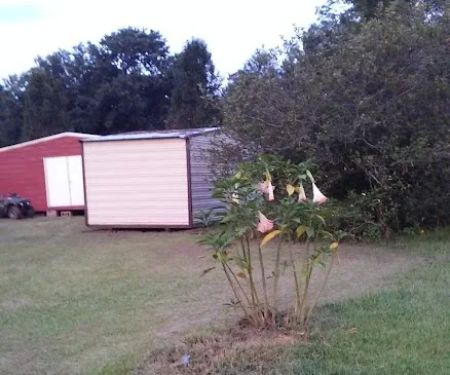 Daisy City Mobile Home Park