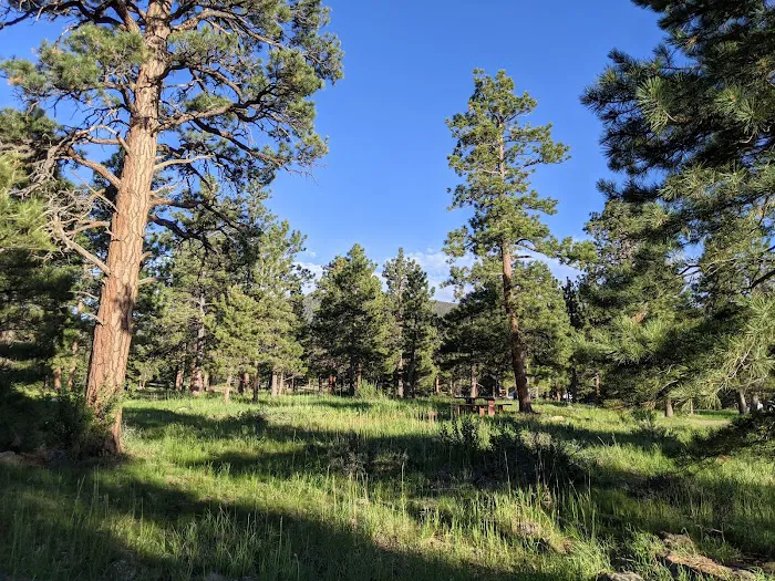 Greens Lake Campground Picture 2