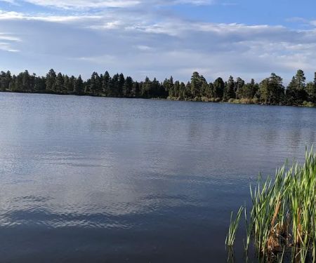 Greens Lake Campground