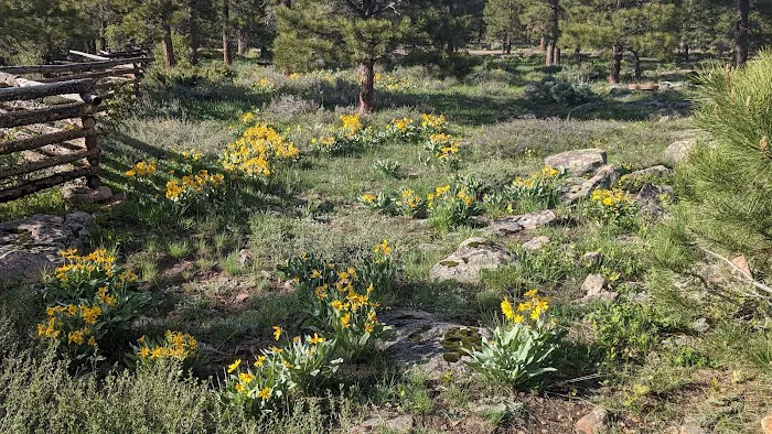 Greens Lake Campground Picture 7