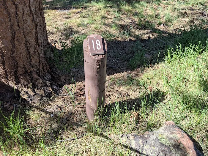 Greens Lake Campground Picture 5